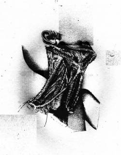 Humatronic : Démo 2009